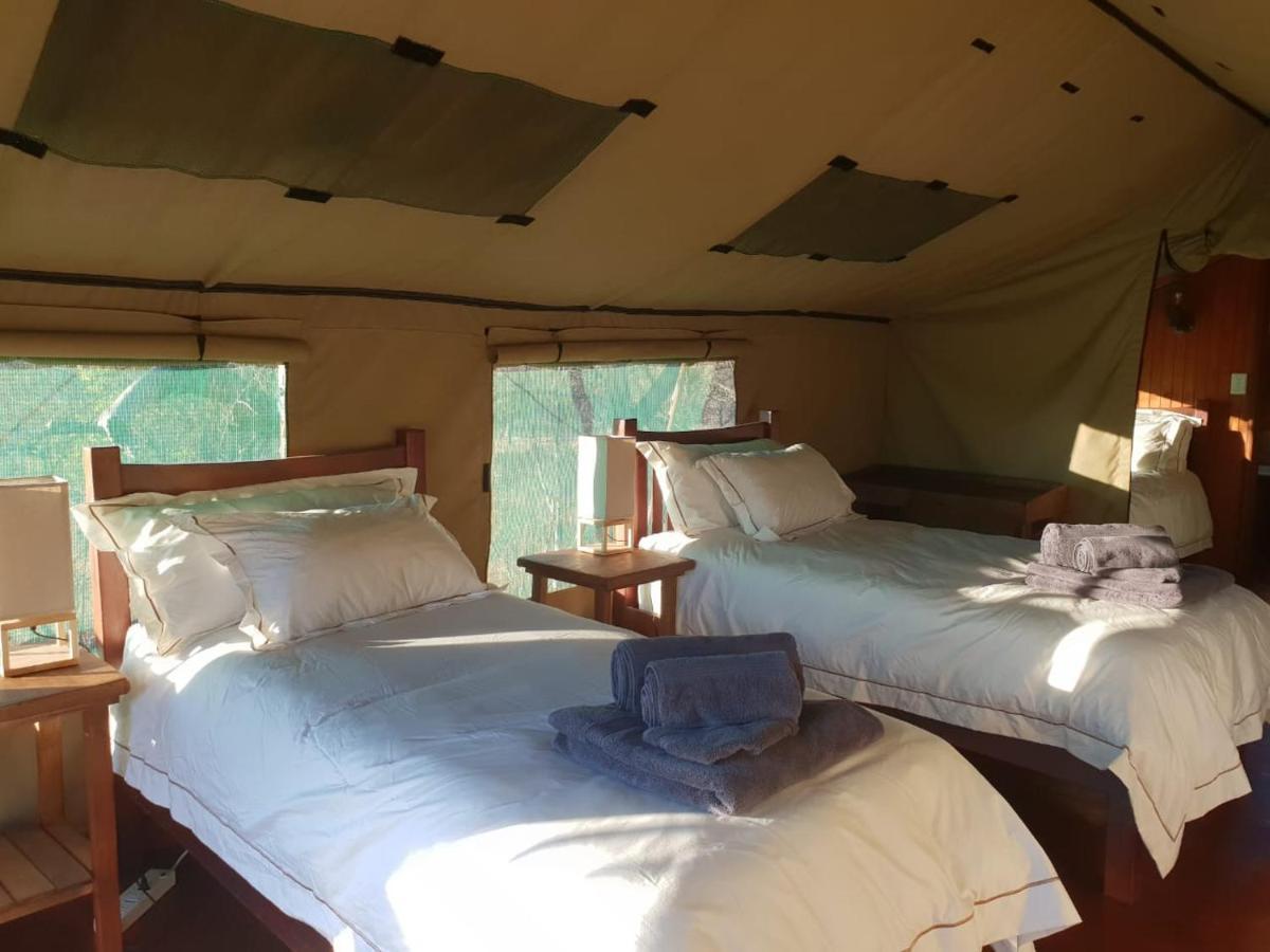 Kelora Bush Camp Hotel Hoedspruit Buitenkant foto