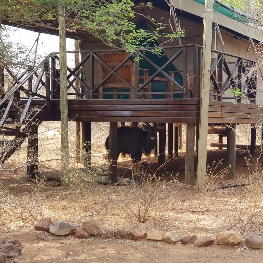 Kelora Bush Camp Hotel Hoedspruit Buitenkant foto
