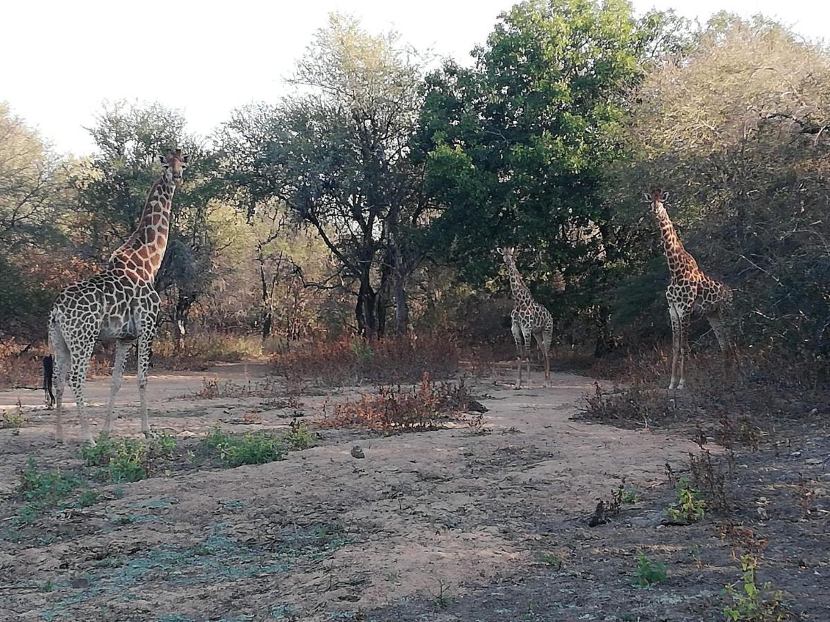 Kelora Bush Camp Hotel Hoedspruit Buitenkant foto