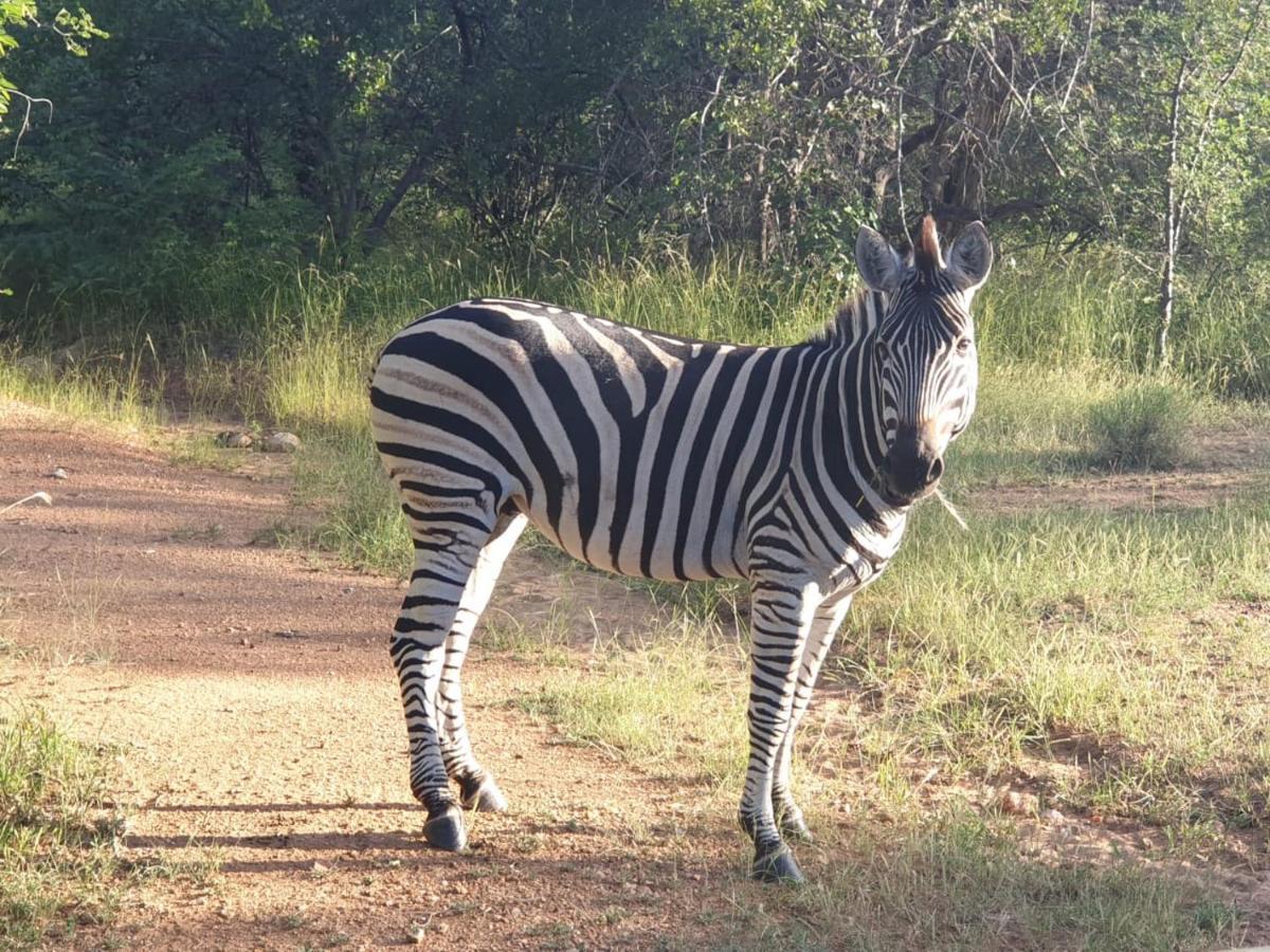 Kelora Bush Camp Hotel Hoedspruit Buitenkant foto