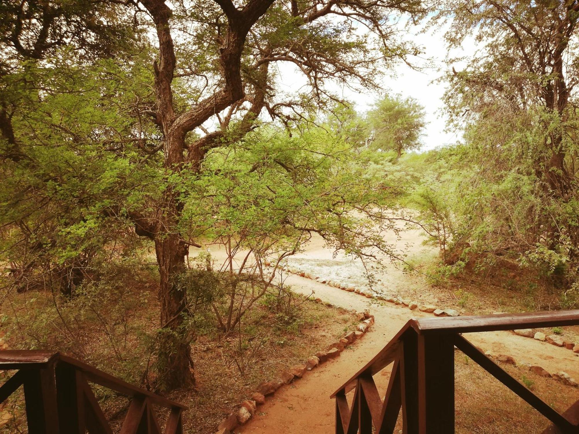 Kelora Bush Camp Hotel Hoedspruit Kamer foto